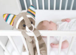 Zazu - Robin Le Raton Laveur - Doudou Musical Ou Bruit Blanc 50 Cm -Disney || Moulin Roty || NATTOU Soldes zazu2020robin20raton20laveur2020musical20ou20bruit20blanc205020cm 2